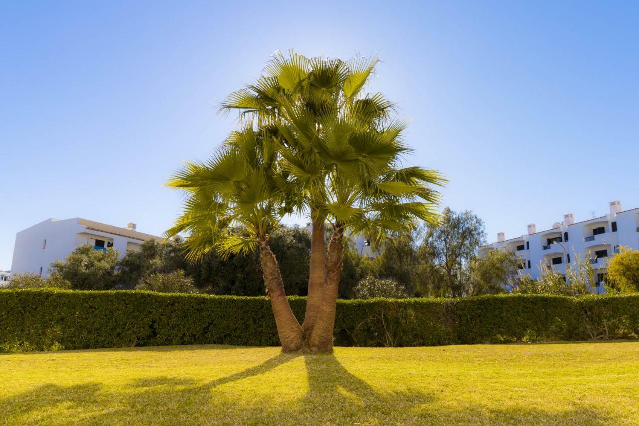 Ferienwohnung Yangmar By Alzira Albufeira Exterior foto